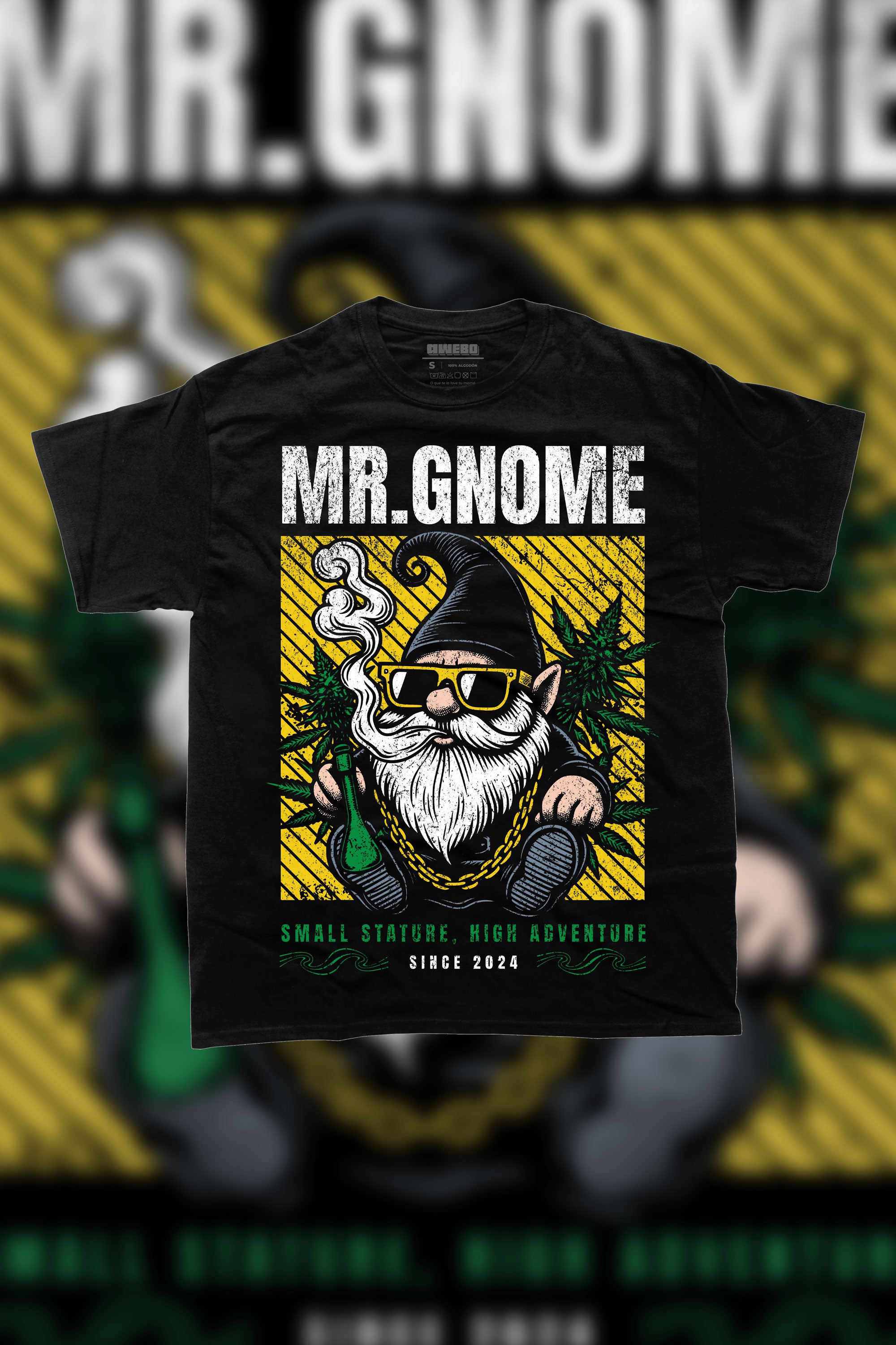 Mr. Gnome